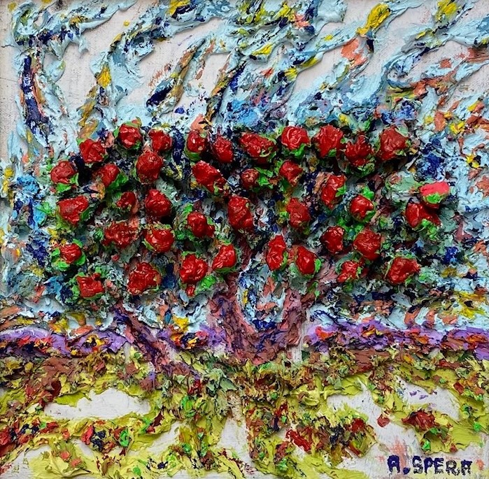20x20 disponible